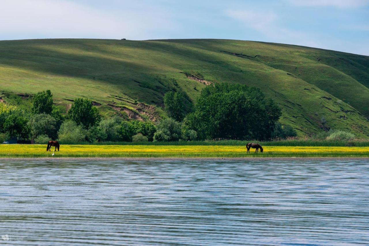 Delta Mayanka Mineri Bagian luar foto